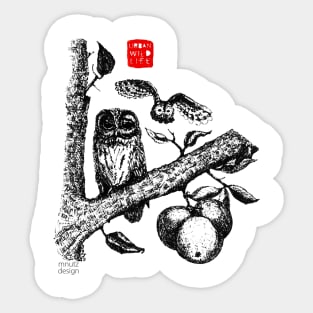 Urban Wildlife - Owl Sticker